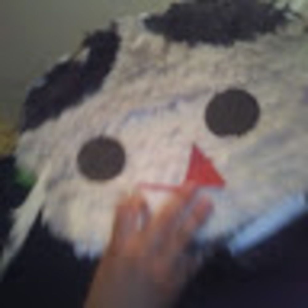 Meet your Posher, Citlali